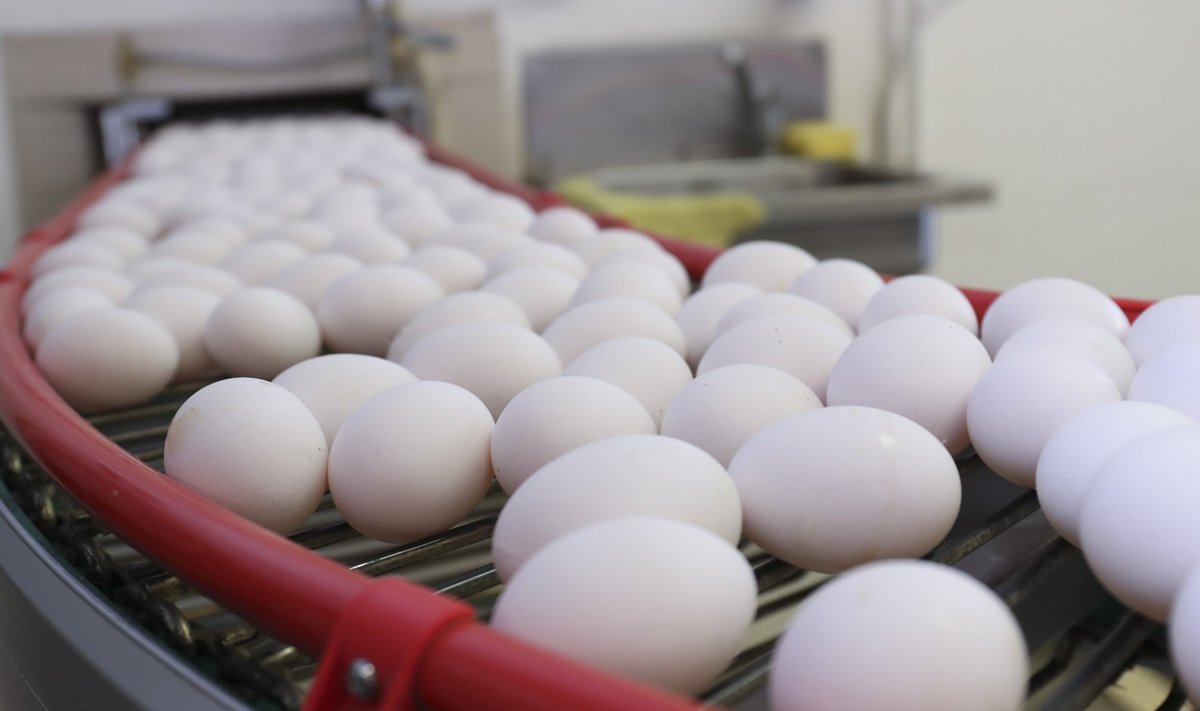 2021. aastal tarbiti Eestis 237 muna iga elaniku kohta.