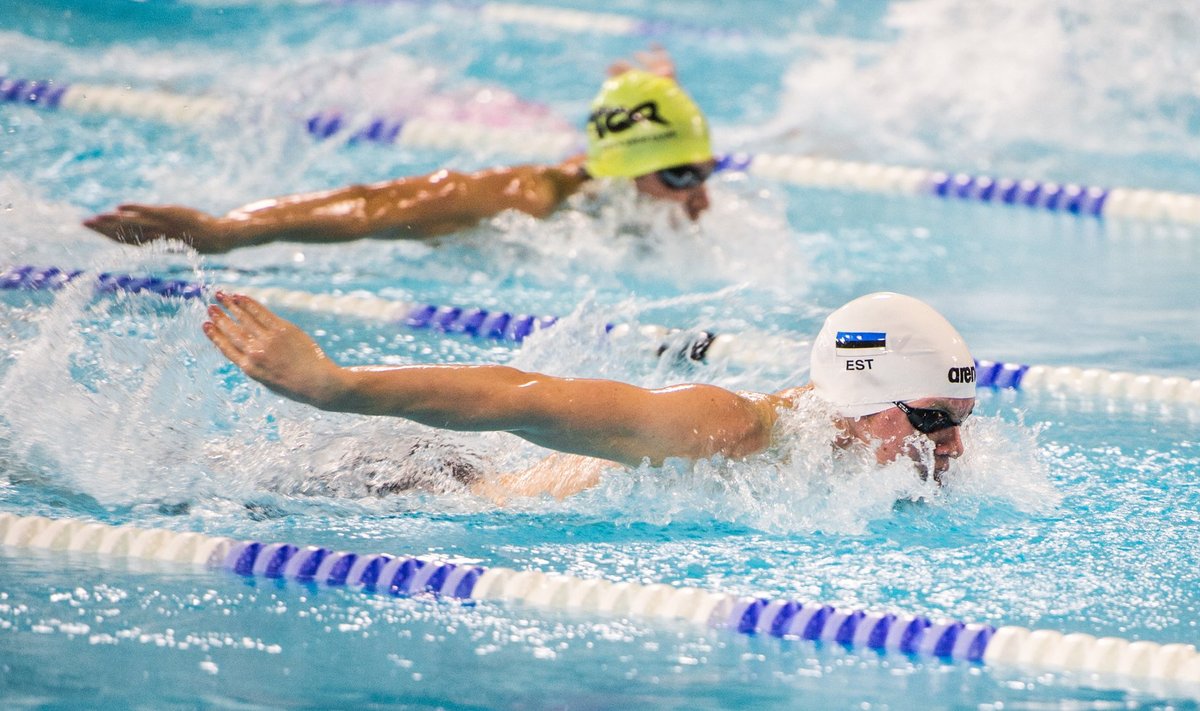 Ujumise Eesti meistrivõistlused