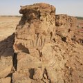 В Саудовской Аравии нашли древнейшие в мире изваяния животных
