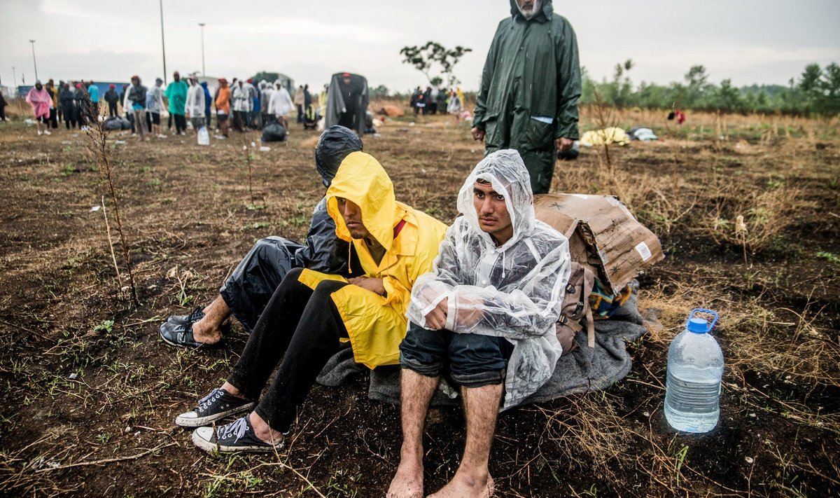 Pärast Ungari piiri sulgemist on Serbiasse ootele jäänud 5000 sisserändajat ja arvestades Ungaris valitsevaid meeleolusid, pole neil lootustki edasi pääseda.