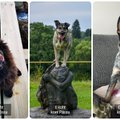 FOTOVÕISTLUS | Koerte moekaubamaja kutsub valima kõige lahedamat koera