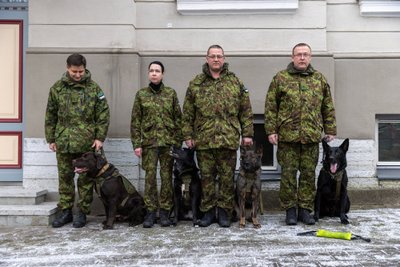 EESTI EEST SURMANI: Teenistuskoerad ja nende kahejalgsed juhid, kes täna pidulikult Sisekaitseakadeemia teenistuskoerte koolituskeskusega koostöös diplomid ja uhked nimelised joogikausid pooleteistaasta pikkuse õppe eest auhinnaks said.