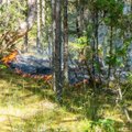 RMK lülitas metsatulekahjude seirekaamerad välja, Läänemaa tulekolde avastamiseks tuli droon kohale tuua