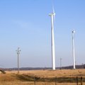 Sõnajalad investeerivad tuuleparkidesse üle 100 miljoni euro