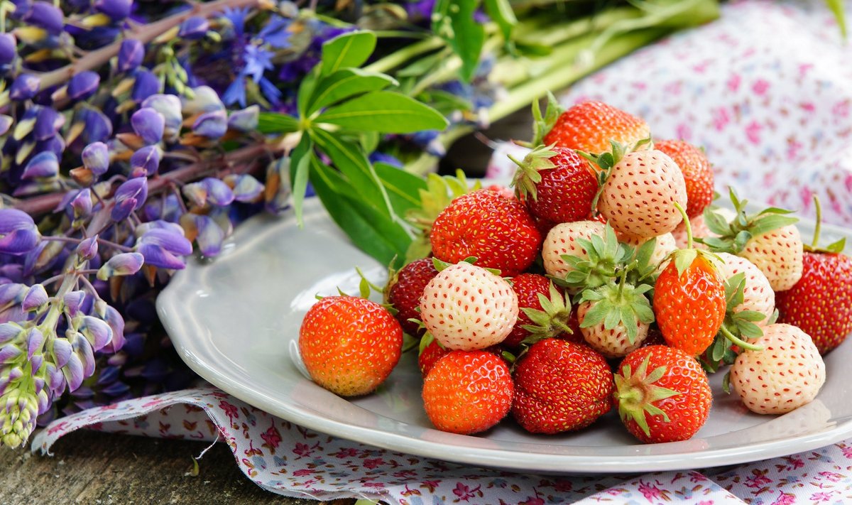 Valged ja punased maasikad näevad laual koos efektsed välja.