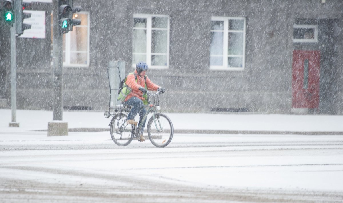 Первый снег в Таллинне