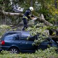 Nädalavahetusel Eestit laastanud torm oli ebatavaline mitmel põhjusel