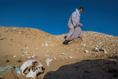 Охранник в Абусире совершает обход древнего захоронения, усеянного человеческими костями и воронками, которые оставили после себя «черные копатели». Незаконные раскопки ведутся здесь давно, а наибольшего размаха они достиг-ли после мирового финансового кр