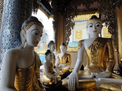 Shwedagoni pagoodi Buddhad Yangonis.