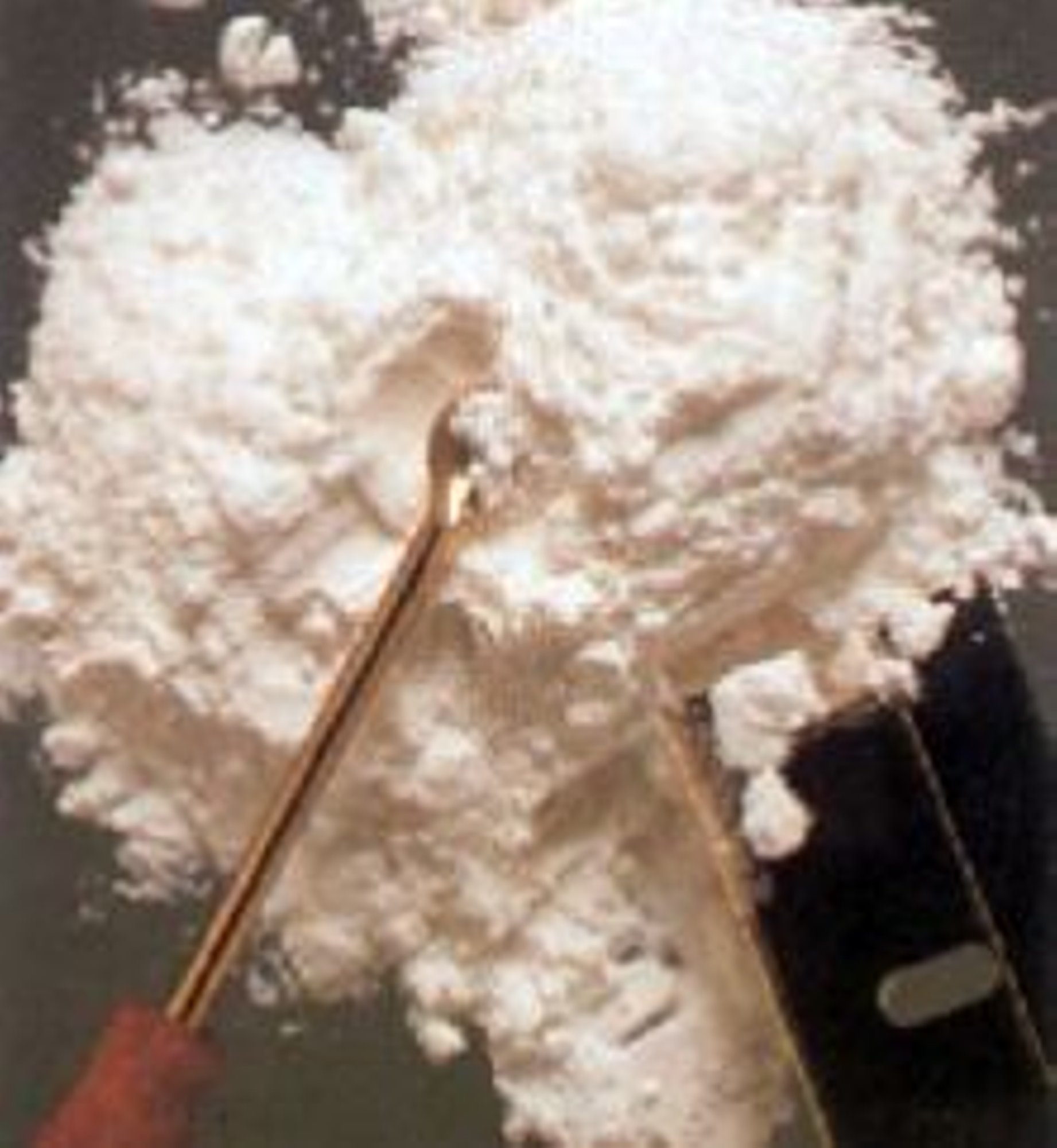 Cocaine Pussy