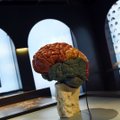 Teadlased: otseühendus inimaju ja interneti vahel tuleb lähiaastakümnete jooksul