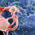HI-viirusesse nakatumine on vähenenud kümnendiga kolmandiku