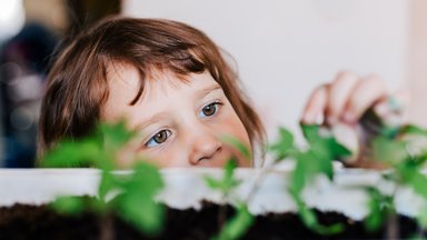 Mürgistusennetusnädal: kõige rohkem taimemürgistuse juhtumeid on 1–4-aastaste lastega