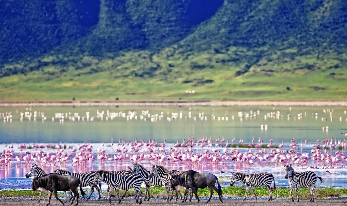 Ngorongoro, Tansaania