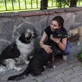 Türgi president Erdoğan tahtis tappa neli miljonit koera, kuid pidi rahva pahameele tõttu leebuma