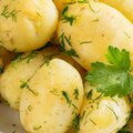 Teadlased aretavad lehemädanikule vastupidavaid kartulisorte