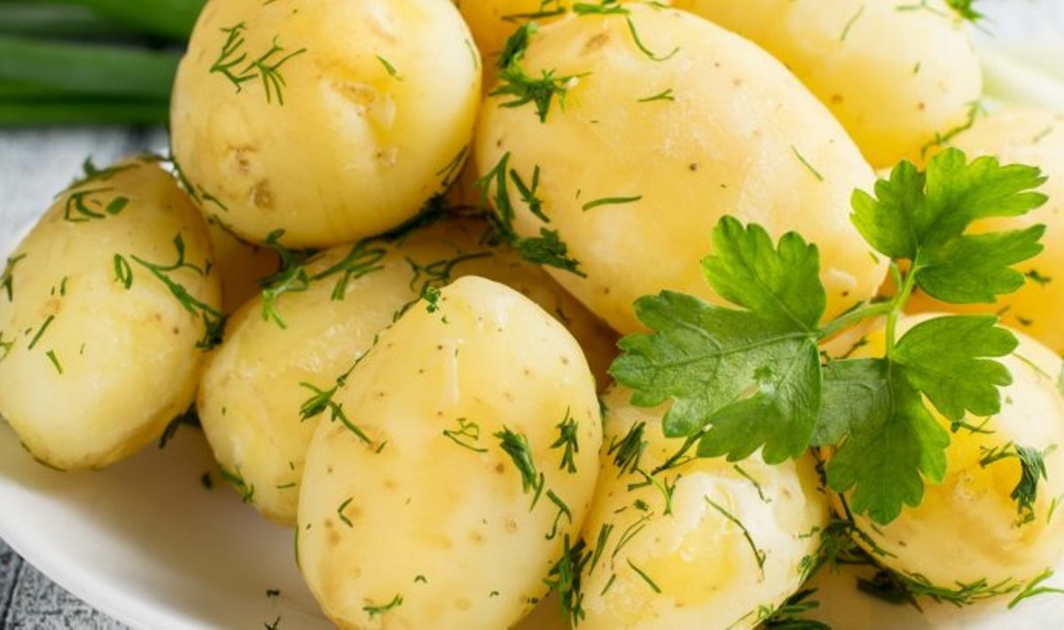 Uus kartulisort ‘Teele’ on kollase koore ja sisuga, vastupidav, ei lagune keetes ning on heade maitseomadustega.