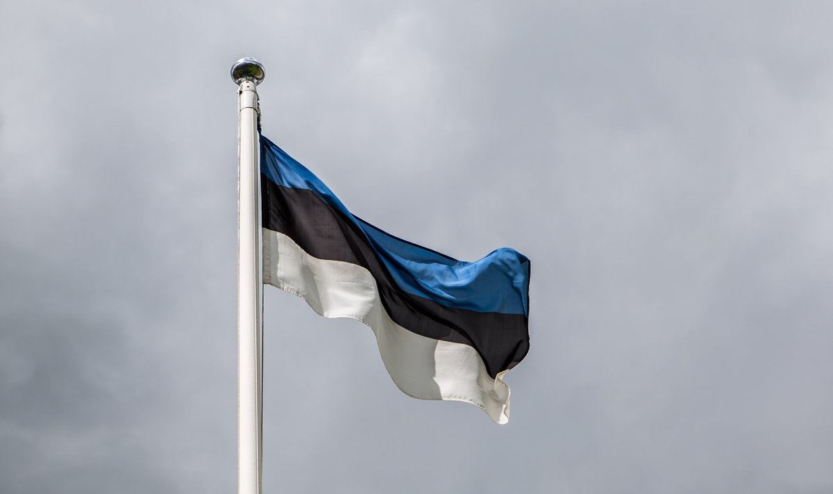 Eesti lipp lehvib uhkelt mastis, kuid milline on peenar masti all?