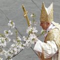 Väärkohtlemise ohvrid kaebavad paavsti kohtusse