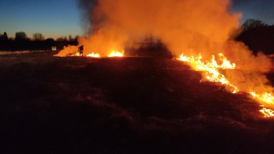 Kulu põlemise jälgi ulatus hektarilisele alale.