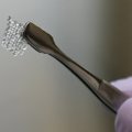 Veel kümme aastat ja inimestele võib siirdada juba 3D-prinditud munasarju