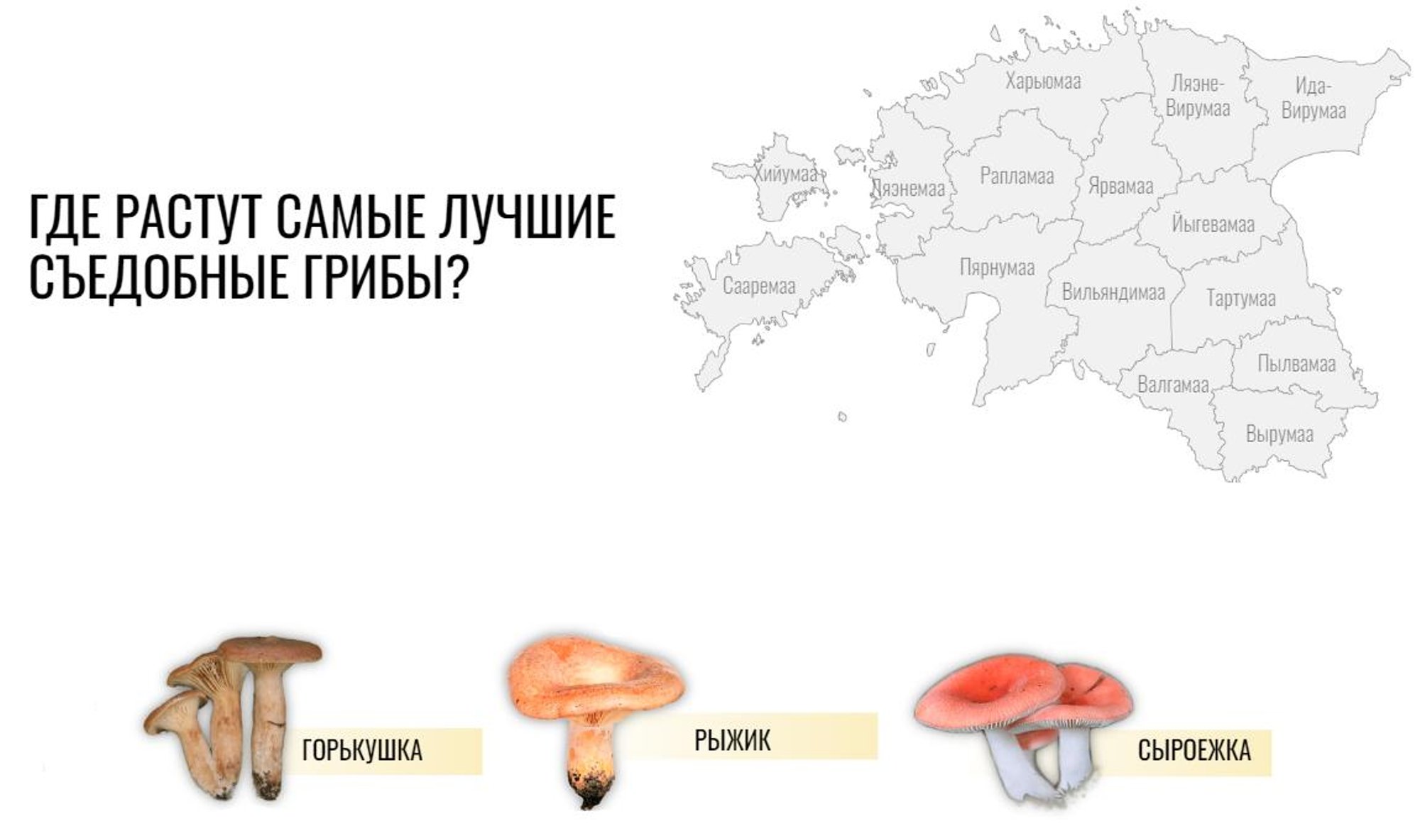 Грибные места в подмосковье 2024 на карте. Грибная карта.