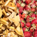 TURUKOMMENTAAR | Kukeseeni ja maasikaid saab nüüd turult veidi odavamalt