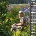Kauneim aed 2022 | Elurikka aia särtsakad vaated meelitavad ka möödasõitjaid
