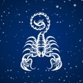 Maalehe päikesemärkide aastahoroskoop 2019 | Skorpionil on eriti head võimalused materiaalses vallas