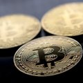 Yale'i ülikooli ekspert: Bitcoin on ohtlik mull