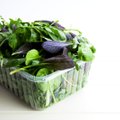 Toit otse karbist – kui head on kasutamiseks valmis rohelised salatisegud?