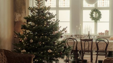 Säravad jõuluehted ja -tuled – kuidas kaunistada kodu pühadeks