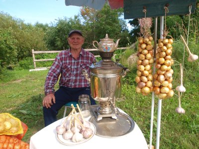 Sibulakülade elu-olu augustis.