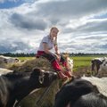 Konkurss AASTA PÕLLUMEES | Kaja Piirfeldt inspireerib noori põllumehi