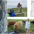 Suur tüli Jõelähtmel: karjakasvatus või turism? Kostivere talunik veab vägikaigast loodusgiididega