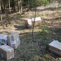 ФОТО: Пограничники обнаружили на лесной дороге десять коробок с контрабандными сигаретами