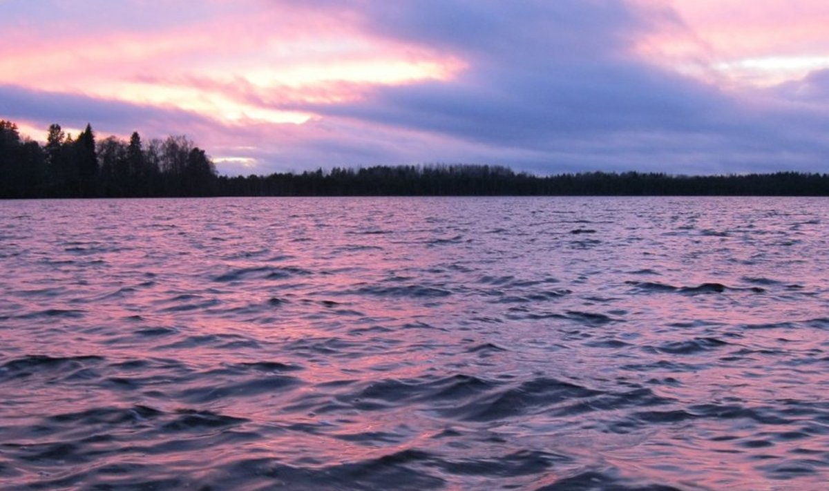 Uljaste järv