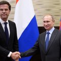 Путин обсудил с премьером Голландии расследование падения "Боинга" в Донбассе