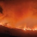 ВИДЕО | На Тенерифе бушует пожар. Туристов и местных жителей эвакуируют