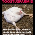 Liiga jõhker? Loomakaitsjate välireklaami ei lubatud Tallinnas tänavapilti