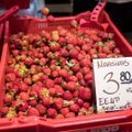 Фермеры: урожай клубники в Эстонии без украинских работников не собрать