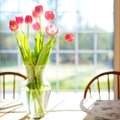 Секреты, как сохранить тюльпаны в вазе до 10 дней