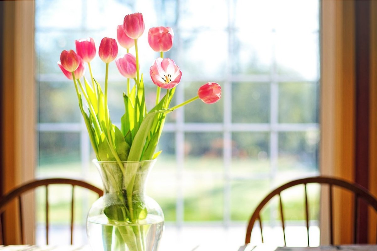 Как сохранить букет тюльпанов в вазе дольше. Цветы в вазе. Весенние цветы на окне. Тюльпаны в вазе. Весенние цветы на подоконнике.