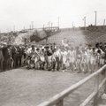 Olümpia 1904. aasta moodi: tohutus tolmus jooksnud maratoonareid turgutati rotimürgi ja brändiga
