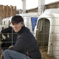 Talunik kimbatuses: piima hind on nii väike, et pank keeldub laenu andmast
