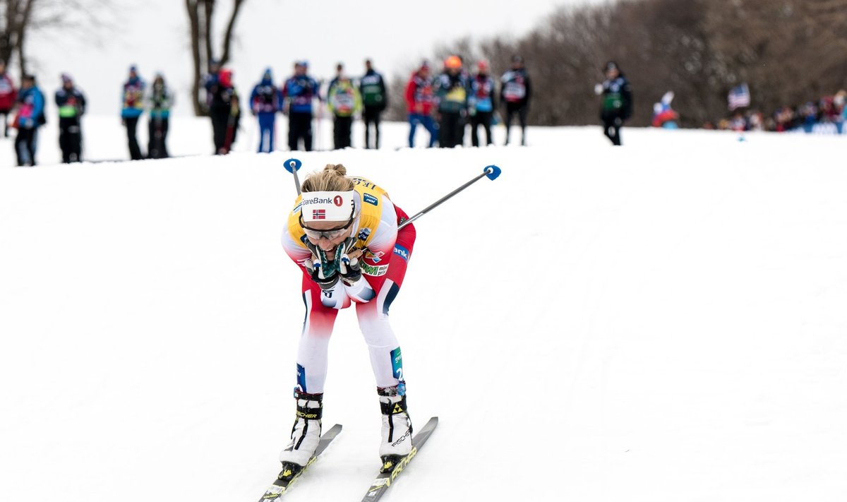 First day of the FIS cross-country world cup finals