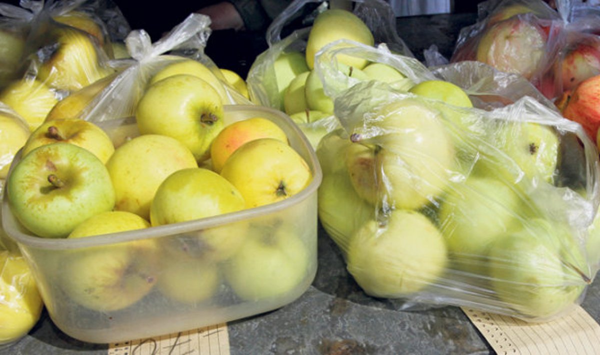 Ilusamate õunte kilo eest tuleb Tartu turul välja anda poolteist eurot.
