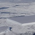 KUULA | Antarktika jääväljade sulamisega käib kaasas õudne ebamaine heli