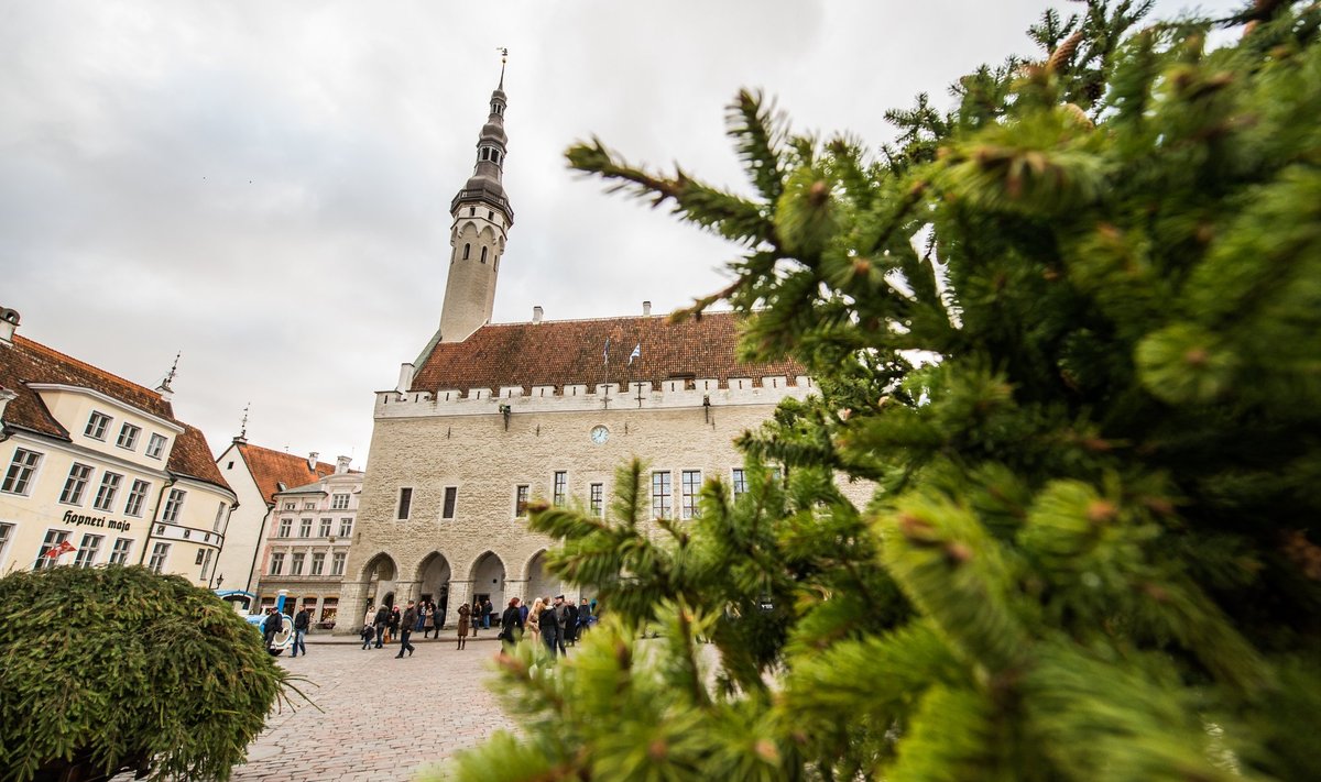 Tallinna linna jõulukuuse lõikamine