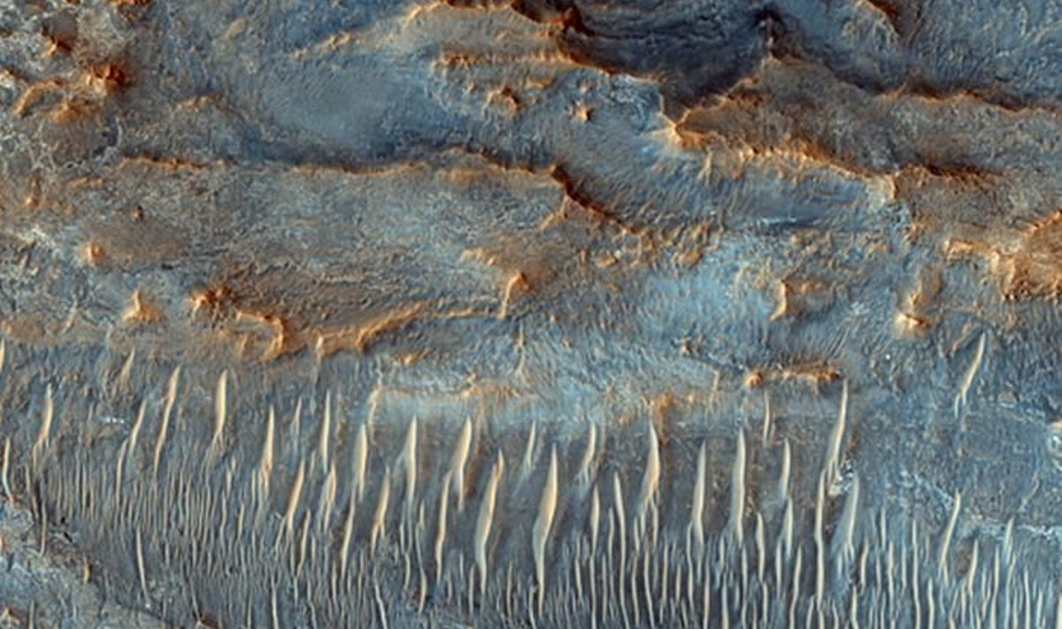Nili Fossae - Marsi elu häll? Foto: NASA